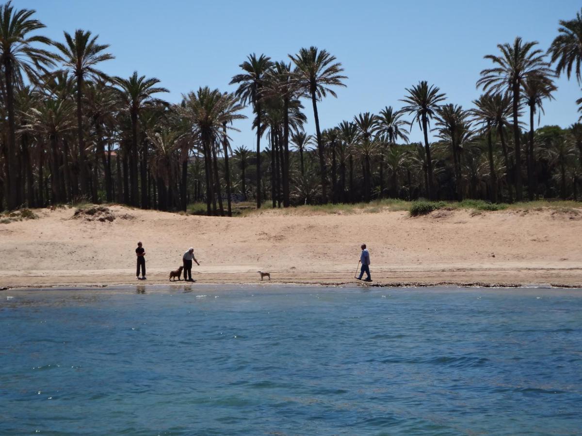 Punta Prima Torrevieja Fantazy01 Apartment ภายนอก รูปภาพ